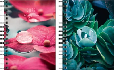 Produktbild von rido Taschenkalender Mod. perfect/Technik I 2027 „Imagine“ | A6, Papier