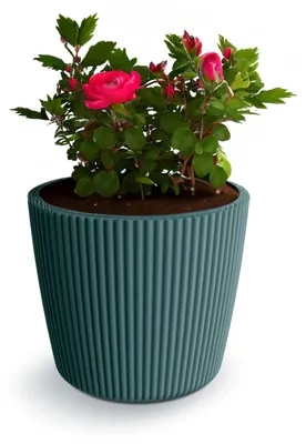 Produktbild von Prosperplast Pflanztopf Buckingham - meerblau - D34 cm