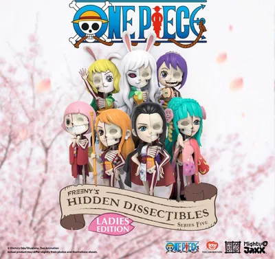 Image de Mighty Jaxx One Piece Blind Box Freenys Hidden Dissectibles Series 5 - 1 Stück