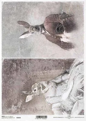 Immagine prodotto di ITD carta di riso carta da decoupage carta morbida, R1812 animali in costume, coniglio