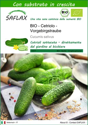 Immagine prodotto di SAFLAX  -- Cetriolo - Vorgebirgstraube - 15 semi - Con substrato - Cucumis