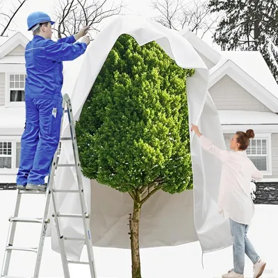 Obrázok produktu pre Zimná ochrana pre rastliny, 250 x 360 cm, biela, so zipsom a sťahovacou šnúrou