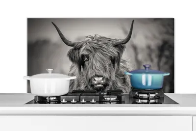 Obrázek produktu pro KitchenYeah® Kitchen splashback - Kuchyňský splashback - Ochrana stěny sporáku a dřezu - Skotský náhorní skot - Portrét - Černobílý 100x50 - Hliníkový dibond (alternativa ke skleněnému splashbacku) -
