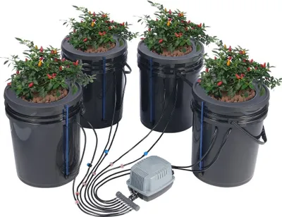 Produktbild von Hydroponisches Anzuchtsystem DWC - Tiefwasserkultur 20L - 4xEimer - Effizientes Wachstumssystem für Pflanzen - Optimal für Garten und Landwirtschaft