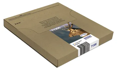 Image de Epson T1306 Multipack Easy Mail Packaging