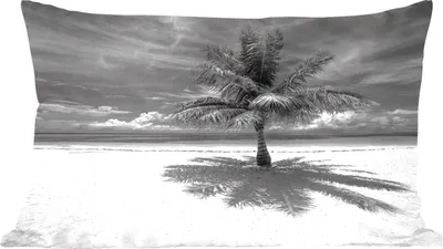 Produktbild von MuchoWow® Zierkissen Sofakissen Wohnzimmer Dekokissen 50x30 cm Kokosnusspalme auf dem weißen Sand von Mo'orea in Schwarz und Weiß - Wohnzimmerdekoration - Polster mit Photo