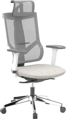 Zdjęcie produktu dla Ergonomiczne krzesło biurowe BS6G, siatkowe oparcie z podłokietnikami 3D, szare