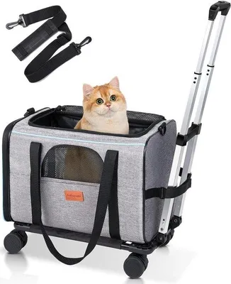 Produktbild von Famanu Transporttas für Hund und Katze mit Rollen – Faltbare Tragetasche mit Trolley – Kompakt & Reisefreundlich