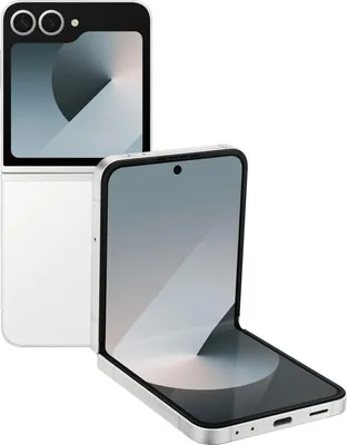 Image de Samsung Galaxy Z Flip6 512GB Silver Shadow