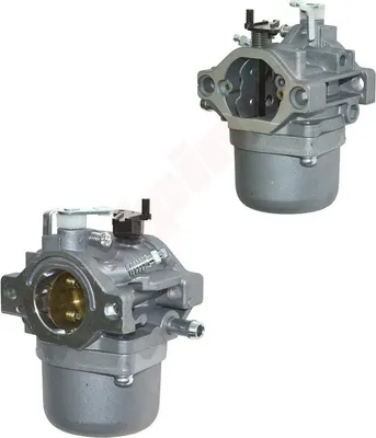 Immagine prodotto di Carburatore Per Briggs & Stratton ( 495706 , 498027 , 498231 , 499161 )
