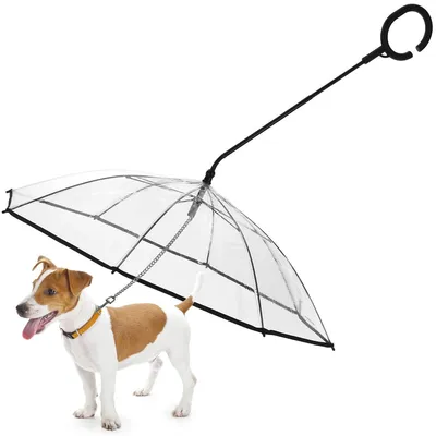 Produktbild von Hundeschirm mit Kettenleine, verstellbarem Winkel und C-Griff für Regenwetter