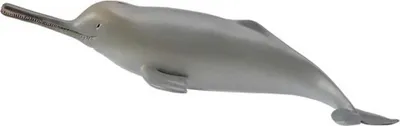 Image de COLLECTA Figurine de dauphin du Gange 88611