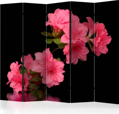 Immagine prodotto di Paravento bifacciale Fiori 225x172 cm 5 pezzi nero