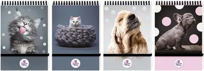 Produktbild von Beniamin Kołonotes A6 96K - Notatnik w kratkę z gumką, The Sweet Pets