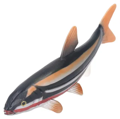 Zdjęcie produktu dla Figurka zwierzęcia morskiego, model oceanu z bezpiecznego PVC, edukacyjna interaktywna zabawka w kształcie ryby do przedszkola lub do domu PL127 1804