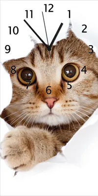 Produktbild von Wallario Design Wanduhr Katze mit Blick nach vorn aus Echtglas, Größe 30 x 60 cm