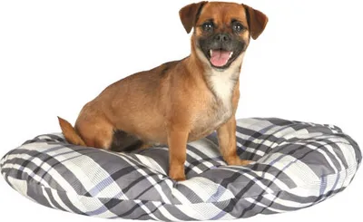 Produktbild von TRIXIE Jerry, Kissen Tierbett, Drinnen, Hund, Grau, Weiß, Oval, Muster