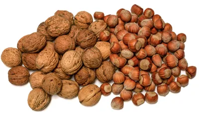 Produktbild von IGART Haselnüsse 5kg + Walnüsse 5kg in der Schale MIX Hazelnuts Walnuts Schmackhafte reif Walnüsse Unbehandelt