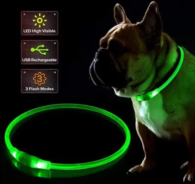 Produktbild von Hundehalsband mit Licht für Spaziergänge