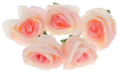 Imagen del producto de Cabezas de rosas artificiales para arreglos florales, juego de 5 unidades - color crema y rosa