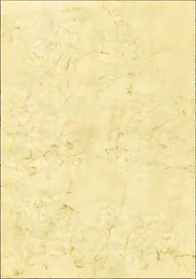 Produktbild von RNK Elefantenhautpapier neutral A4 110g ch