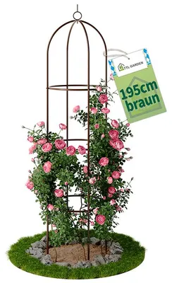 Produktbild von TTL GARDEN Rankhilfe Obelisk XL 195x40cm braun – Rankgitter für Kletterpflanzen