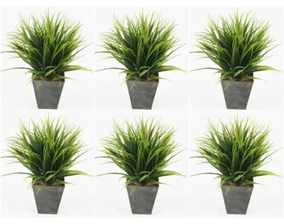 Produktbild von 6er Set künstliche Gräser Grünpflanzen im Zinktopf H. 30cm Emerald Zimmerpflanze