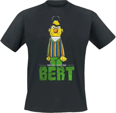 Produktbild von Sesame Street T-Shirt Herren Bert schwarz S