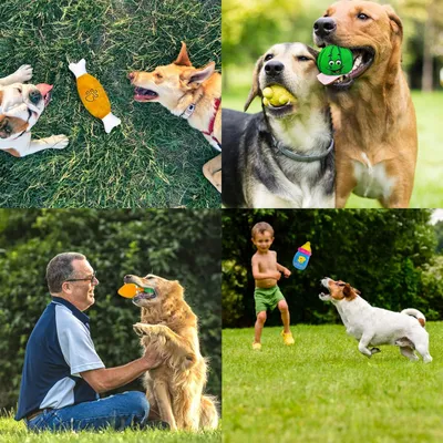 Produktbild von 18 Stück quietschendes Hundespielzeug für Welpen und Hunde aus natürlicher Baumwolle