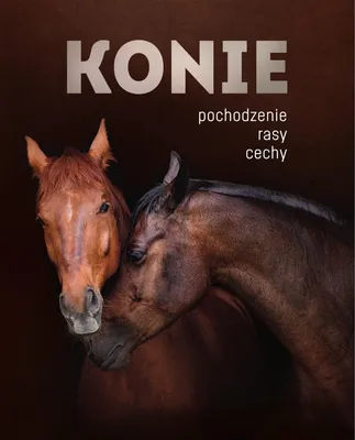 Immagine prodotto di Konie
