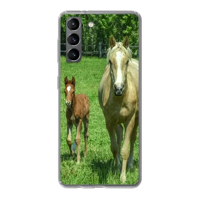 Produktbild von MuchoWow® Handyhülle Schutzhülle Hülle für Samsung Galaxy S21 Pferd - Fohlen - Tiere Silikon Softcase Handy Hülle - Softcase
