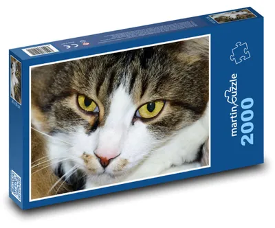 Obrázek produktu pro Puzzle 2000 Kočka domácí - mazlíček, kocour - martinpuzzle