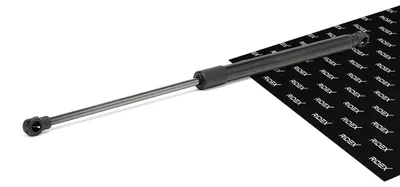 Produktbild von RIDEX 219G0770 Gasfeder Heckklappendämpfer für CITROËN C3 II (SC) 470mm