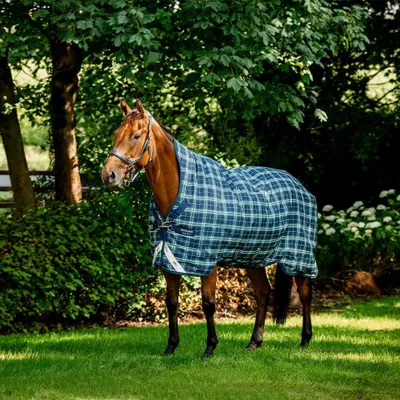 Obrázek produktu pro Dečka Horseware do výběhu, velikost 115 - Rhino Wug, 0g - vzor Hunter Check/Námořnická modř/Zelená