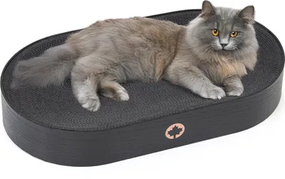Produktbild von Kratzpappe Apollo · Katzenbett aus Wellpappe · BLACK EDITION · ca. 63 x 35 x 10 cm