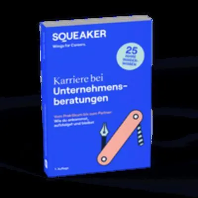 Immagine prodotto di Karriere bei Unternehmensberatungen
