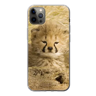 Produktbild von MuchoWow® Handyhülle Schutzhülle Hülle für iPhone 12 Pro Max Gepard - Jung - Gras Silikon Softcase Handy Hülle - Hartschale