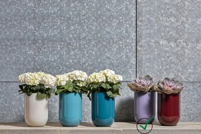 Produktbild von Glasvase Emilia H 20 cm, lila