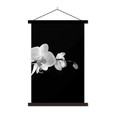 Produktbild von MuchoWow® Textilposter Orchidee - Blumen - Schwarz - Rosa - Knöpfe 120x180 cm mit schwarzem Rahmen