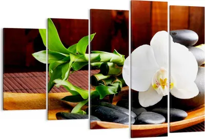 Produktbild von Bild auf Leinwand - Leinwandbild - Bambus Schönheit Dekoration Blume - 150x100cm - Wand Bild - Wanddeko - Leinwanddruck - Bilder - Kunstdruck - Leinwand bilder - Wandkunst - EG150x100-2166