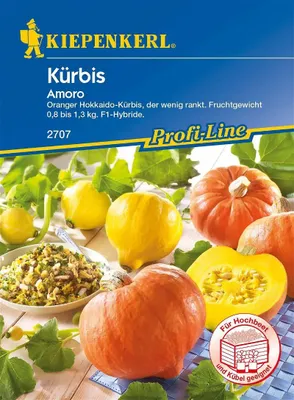 Produktbild von Kürbis 'Amoro' Kiepenkerl Gemüsesamen