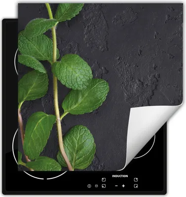 Produktbild von DarHaus Herdabdeckplatte 60x52 cm Anti Rutsch Matte Aufrollbar, Minze