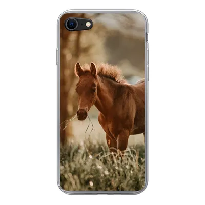 Produktbild von MuchoWow® Handyhülle Schutzhülle Hülle für iPhone 8 Pferd - Licht - Wiese Silikon Softcase Handy Hülle - Schutzhaube