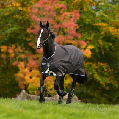 Produktbild von Horseware Amigo Bravo 12 Turnout 100g - Excal/StrBlue/Black, 165