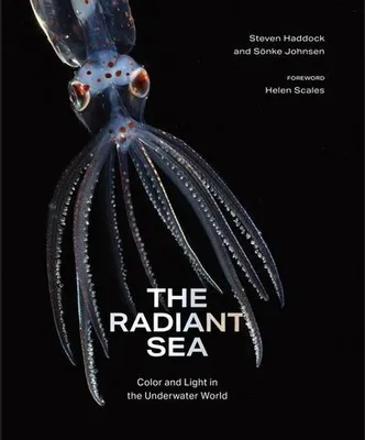 Immagine prodotto di The Radiant Sea: Color and Light in the Underwater World