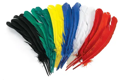 Produktbild von Colorations - Bastelfedern 30cm, Set mit 24 bunten Federn