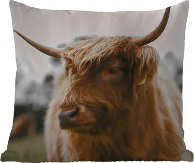 Produktbild von MuchoWow® Outdoor Kissen - Schottisches Hochlandrind - Tiere - Hörner - 45x45 cm - Wetterfest - Lounge Kissen - Fotokissen - Dekoratives Kissen