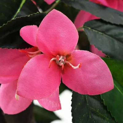 Immagine prodotto di Pianta Artificiale di Rododendro con Vaso 155 cm Verde e Rosa