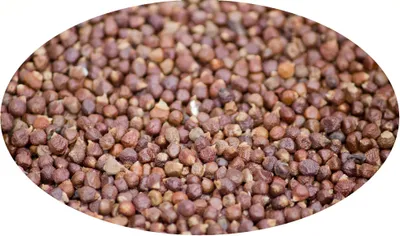 Productafbeelding van Eder Gewürze - Paradijskorrels - 1 kg