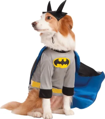 Produktbild von Batman - Kostým pre psa BN5472 (3XL-23,5 in-35 in-38 in) (sivý/modrý/čierny)